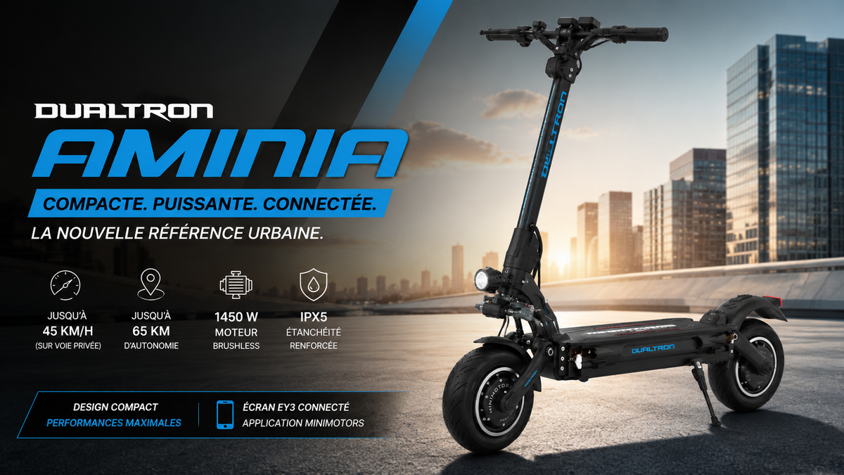 Trottinette électrique Dualtron Aminia