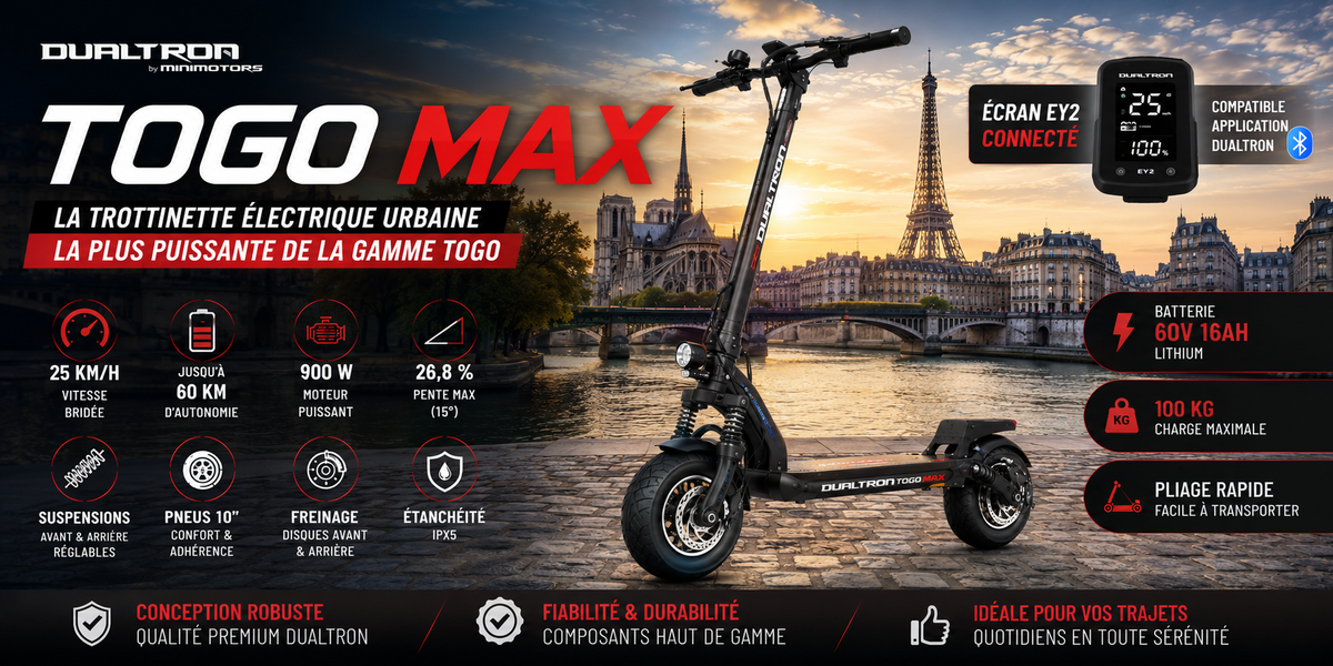 Trottinette électrique Dualtron Togo Max